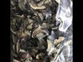 Сухой подосиновик